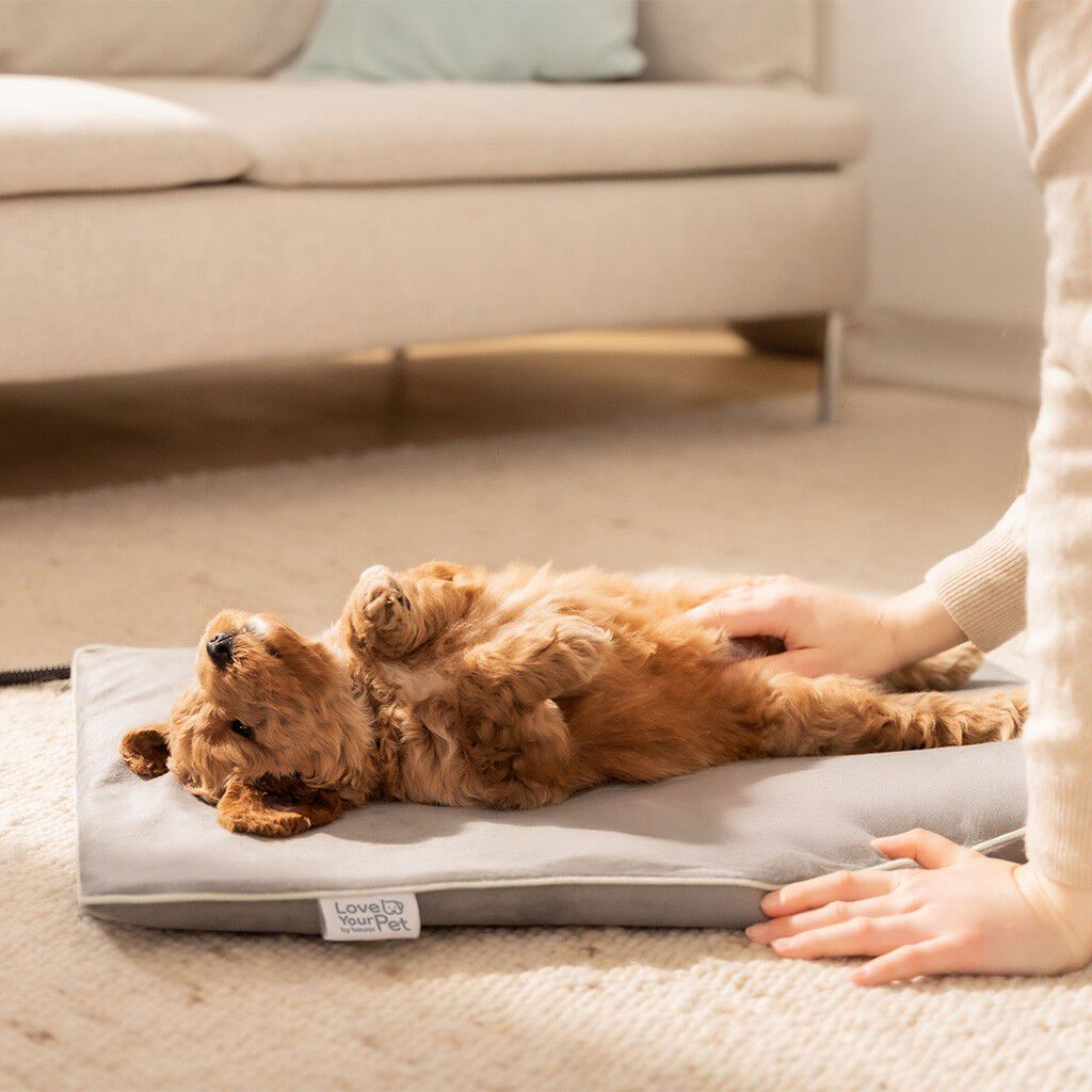 PetCare PP 210 Lilli Varmem&aring;tte til k&aelig;ledyr 41x34 cm