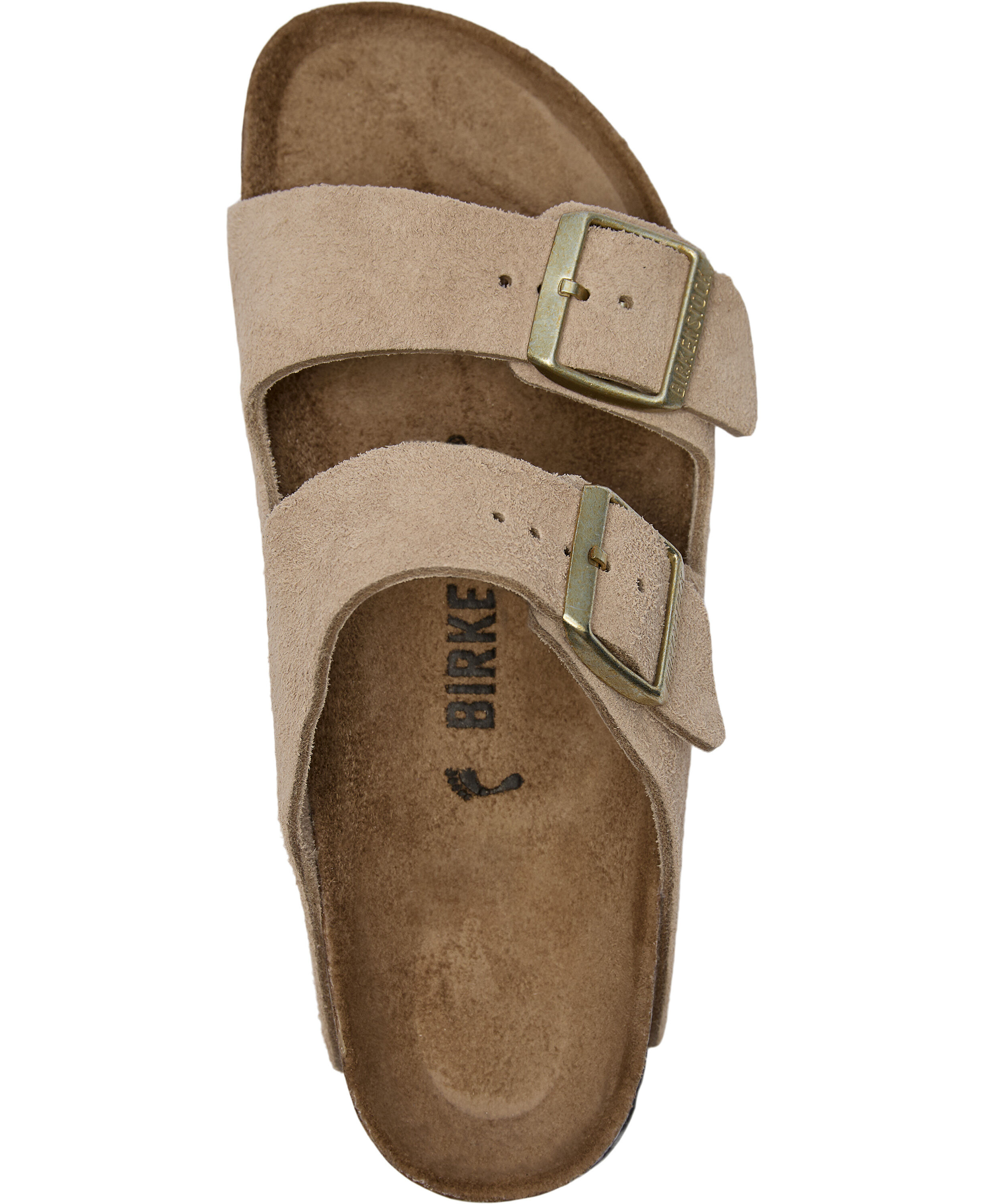 Arizona LEVE Sandcastle