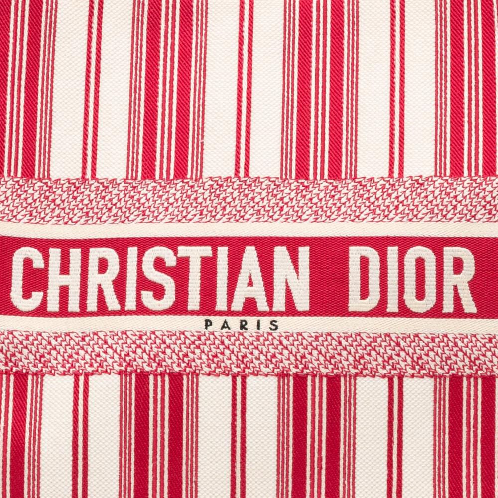 Dior Book Tote