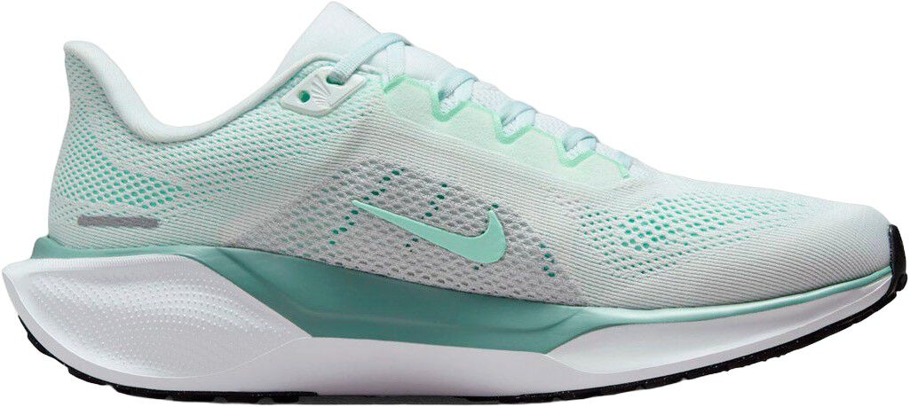 Pegasus 41 L&oslash;besko