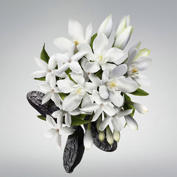 CAROLINA HERRERA Good Girl Hairmist 30 ML