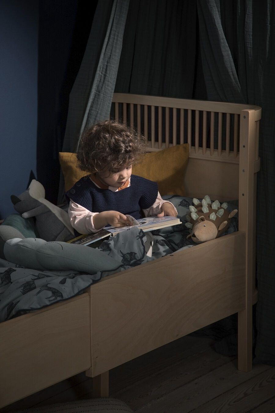 Sebra Sengen, Baby & Jr. , Wooden Edition