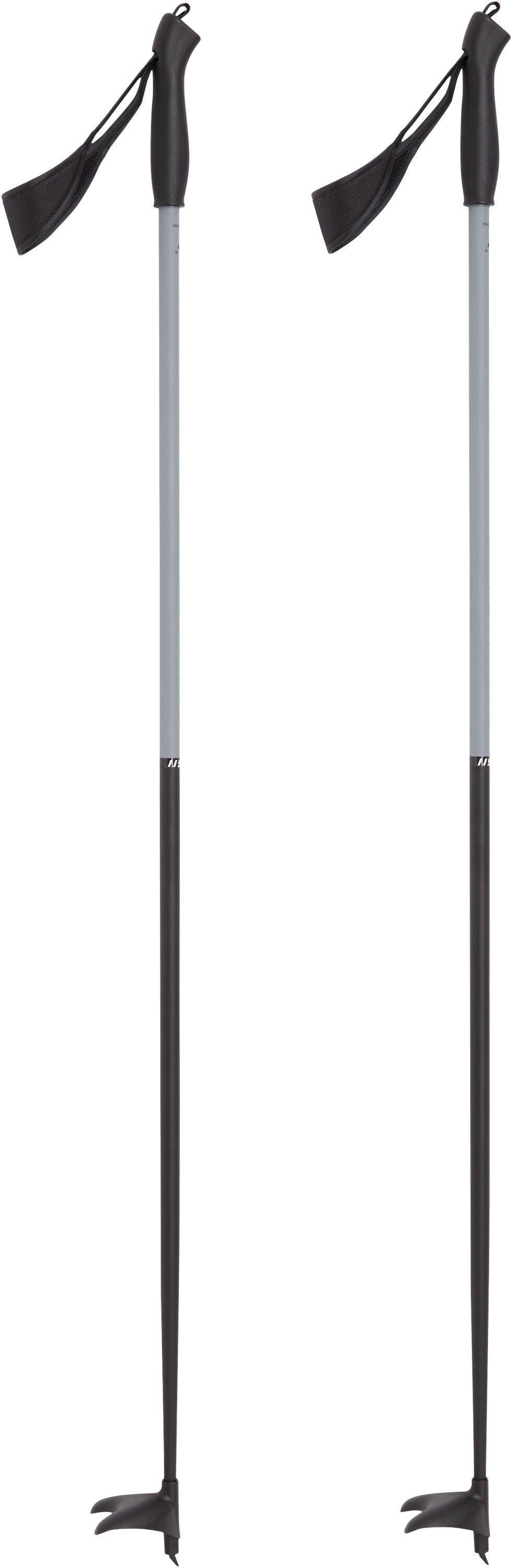Active Skistave