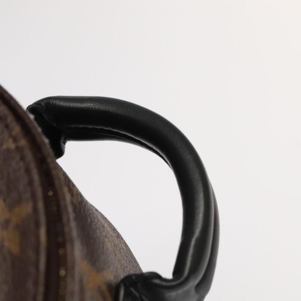 Louis Vuitton Palm Springs