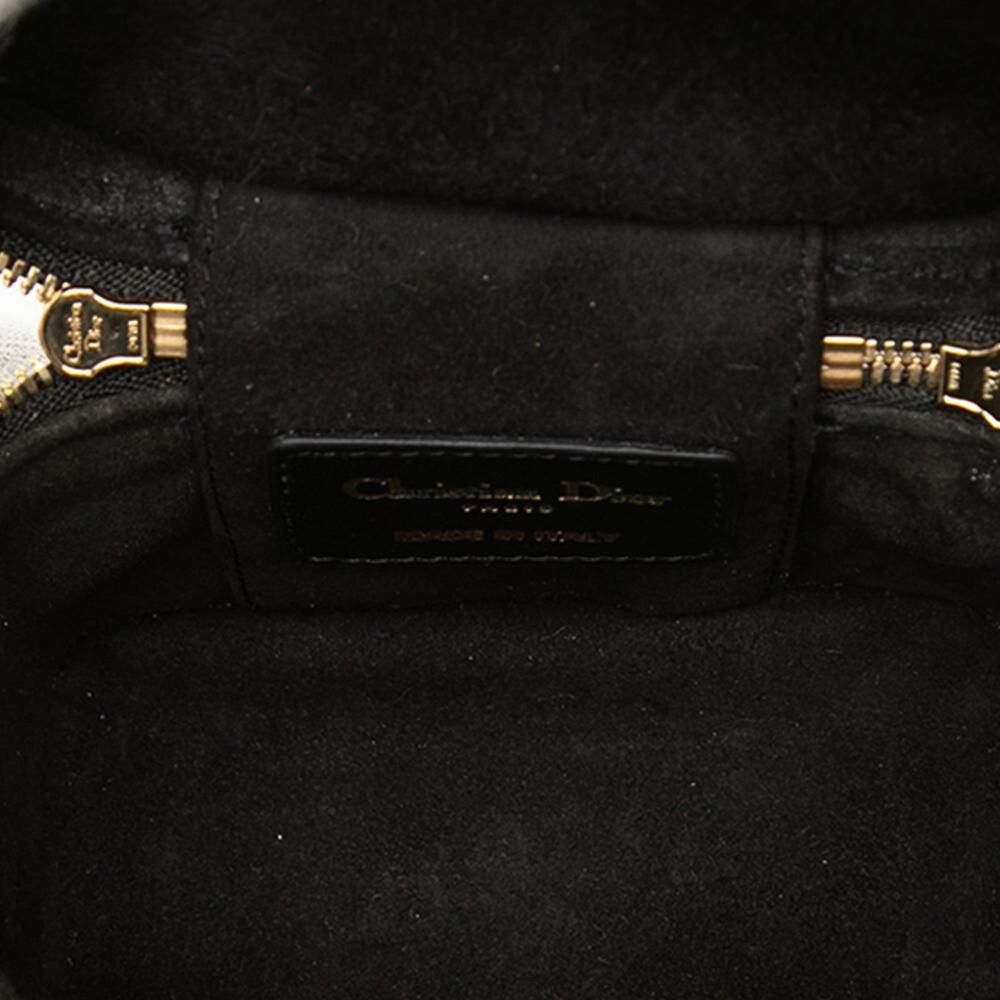Dior Vanity Bag