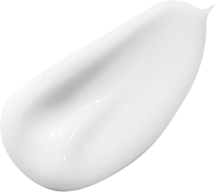 The Moisturizing Soft Cream