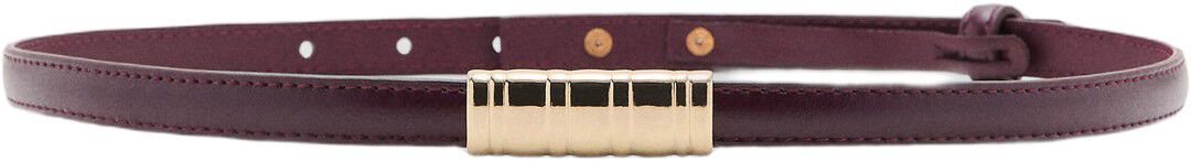 Thin belt with metal detail