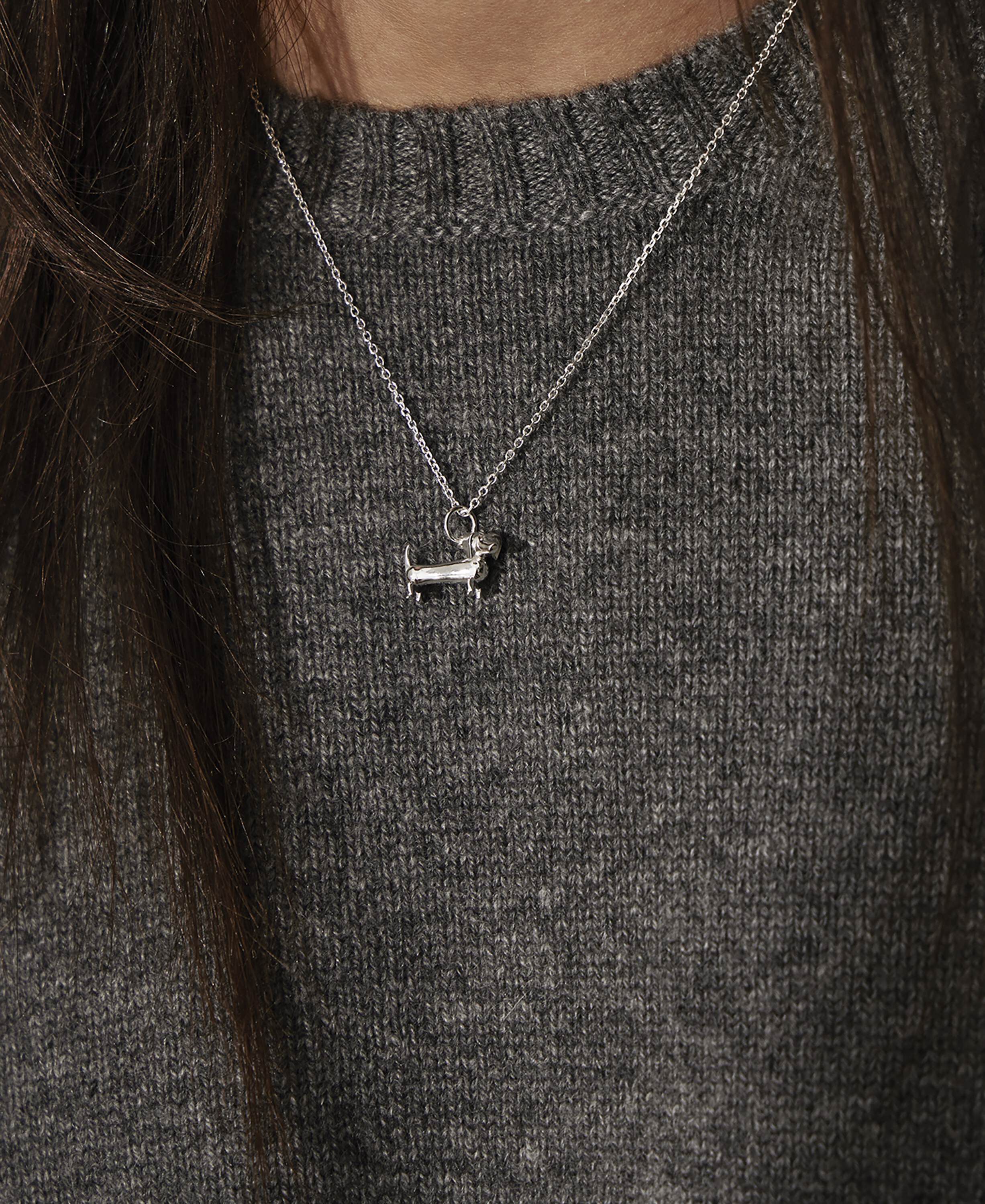 Gravhunden i s&oslash;lv uden k&aelig;de