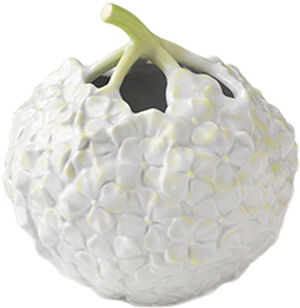 The Art Of Giving Flowers Hortensiavase