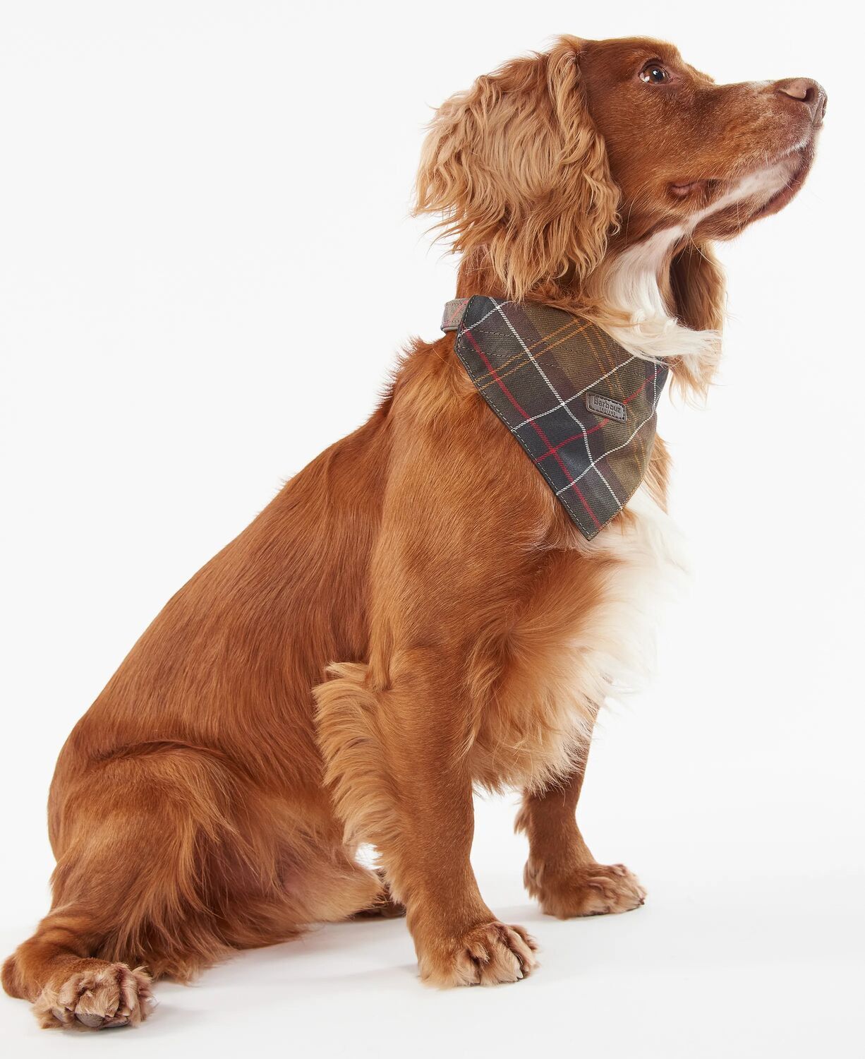 Barbour Tartan Bandana