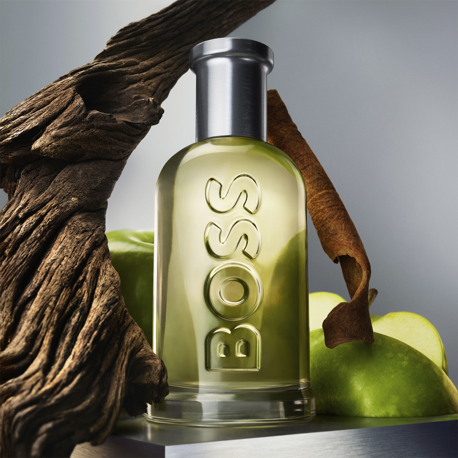 Boss Bottled Deodorant Stick 75 ml.