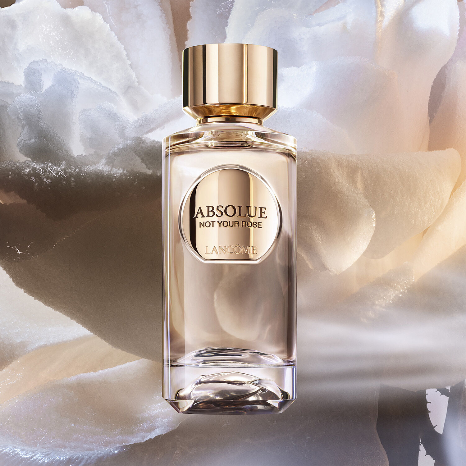 Absolue Les Parfums NOT YOUR ROSE Eau de Parfum