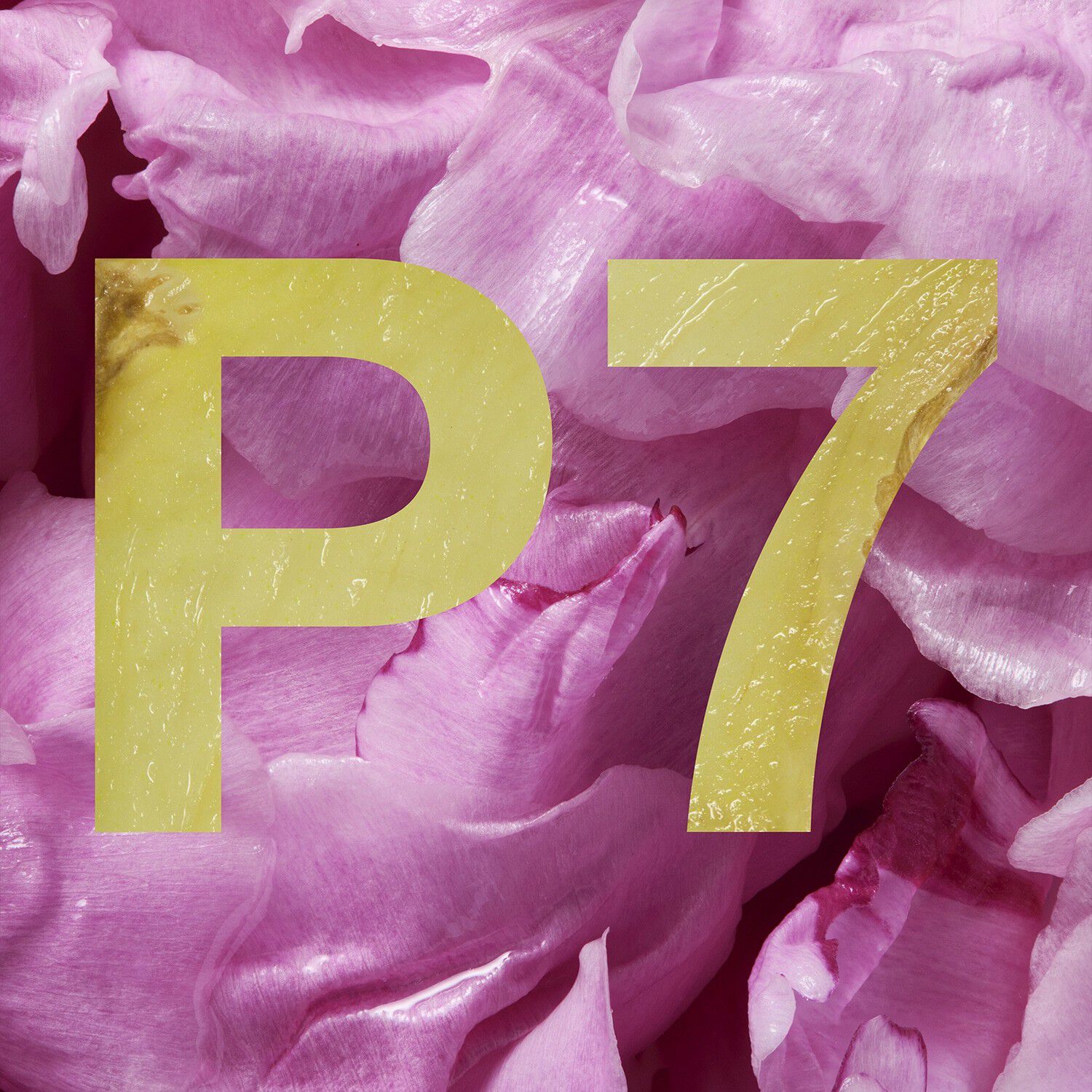 Peony + Ginger Bath & Body Set? - S&aelig;t med kropspleje