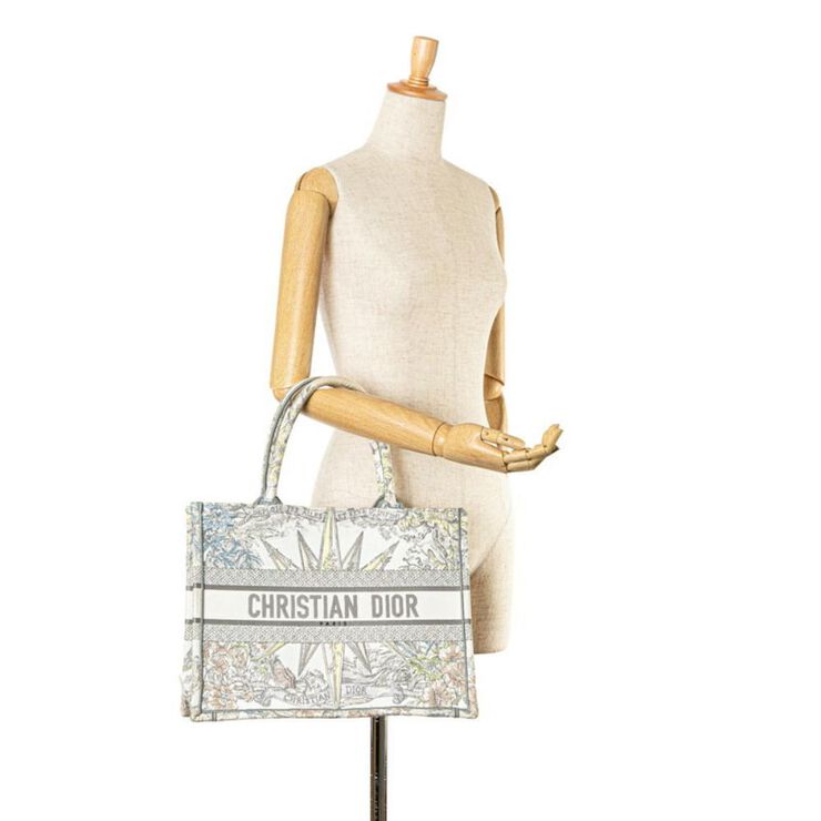 Dior Book Tote