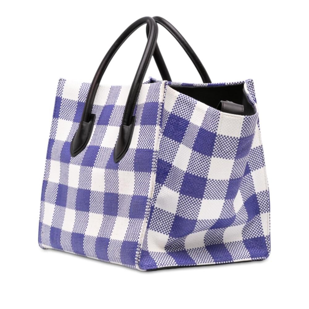Celine Luggage