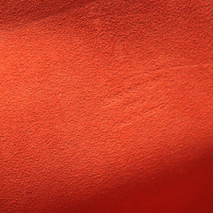 Louis Vuitton Florentine Pochette