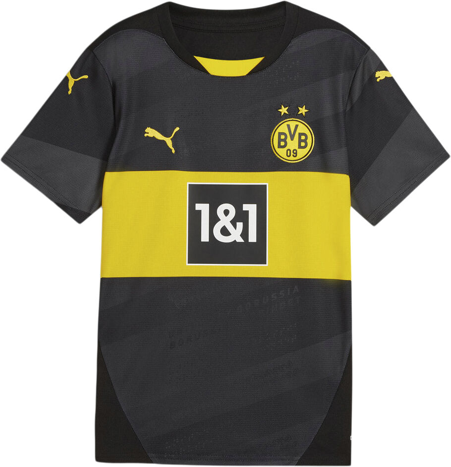 Dortmund 24/25 Udebanetr&oslash;je