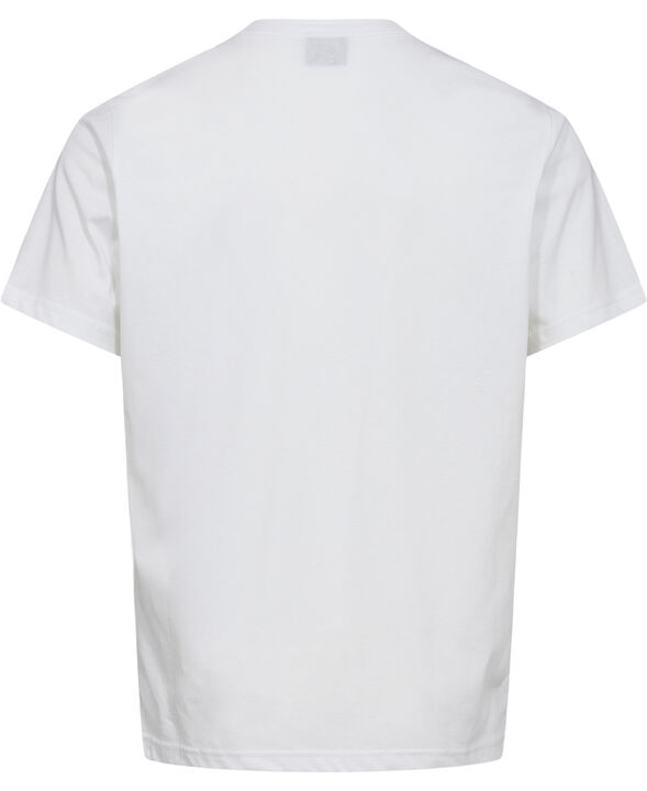 MENS REG FIT SS TSHIRT ZEBRA