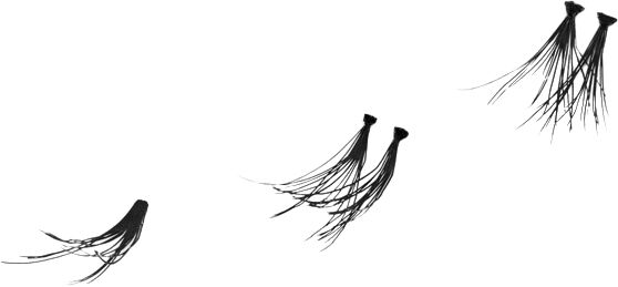 PE Eyelashes Alice NO/DK