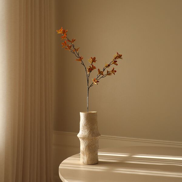 Enkianthus Perulatus Leaves