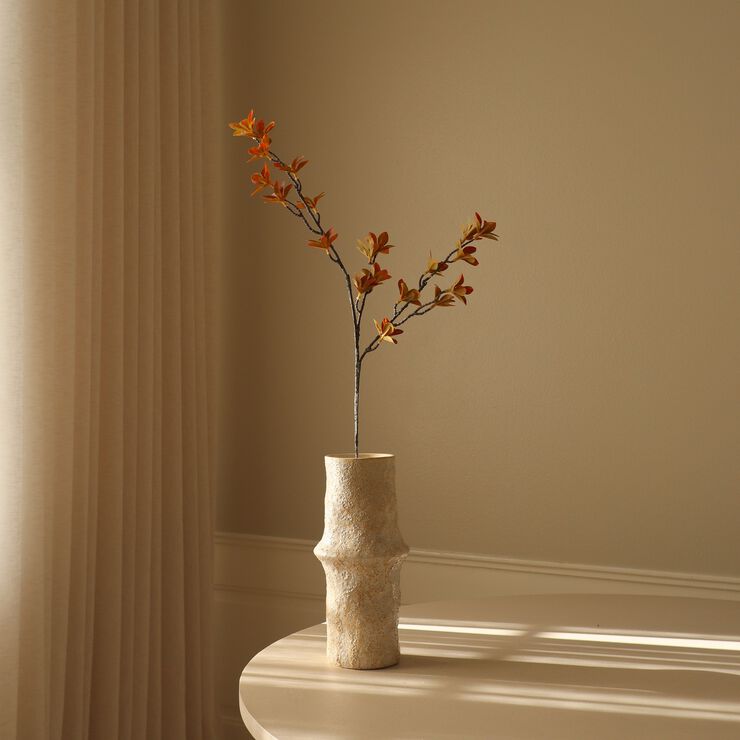 Enkianthus Perulatus Leaves