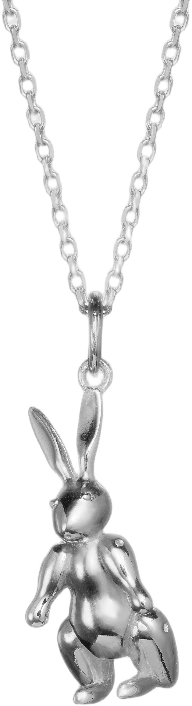 Kaninen i s&oslash;lv med k&aelig;de