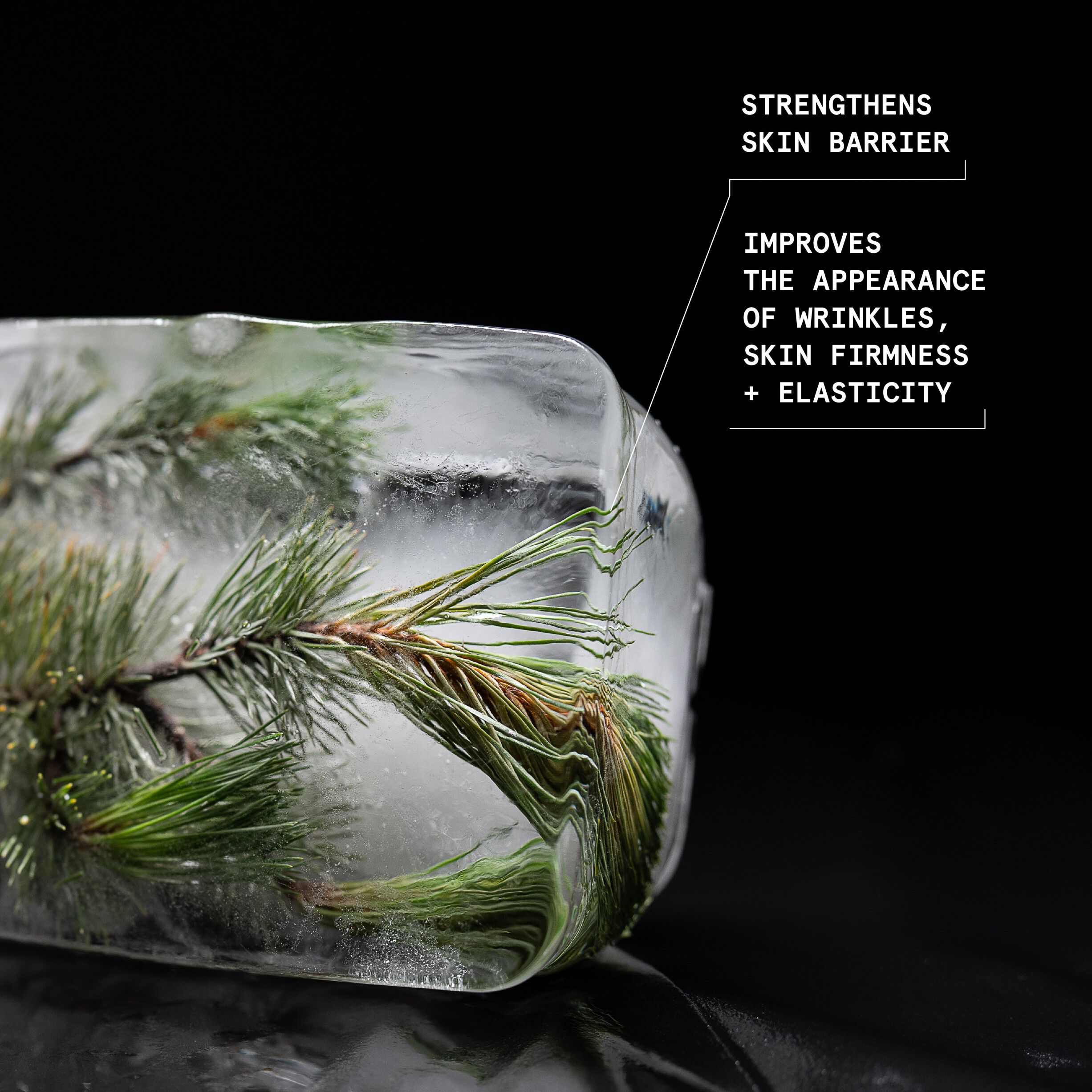 Black Pine 4D Bounce Firming Intense Moisturizer