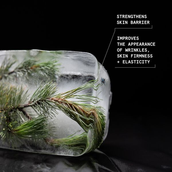 Black Pine 4D Bounce Firming Intense Moisturizer