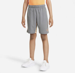 Dri Fit Shorts