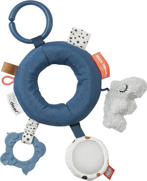 Aktivitetsring