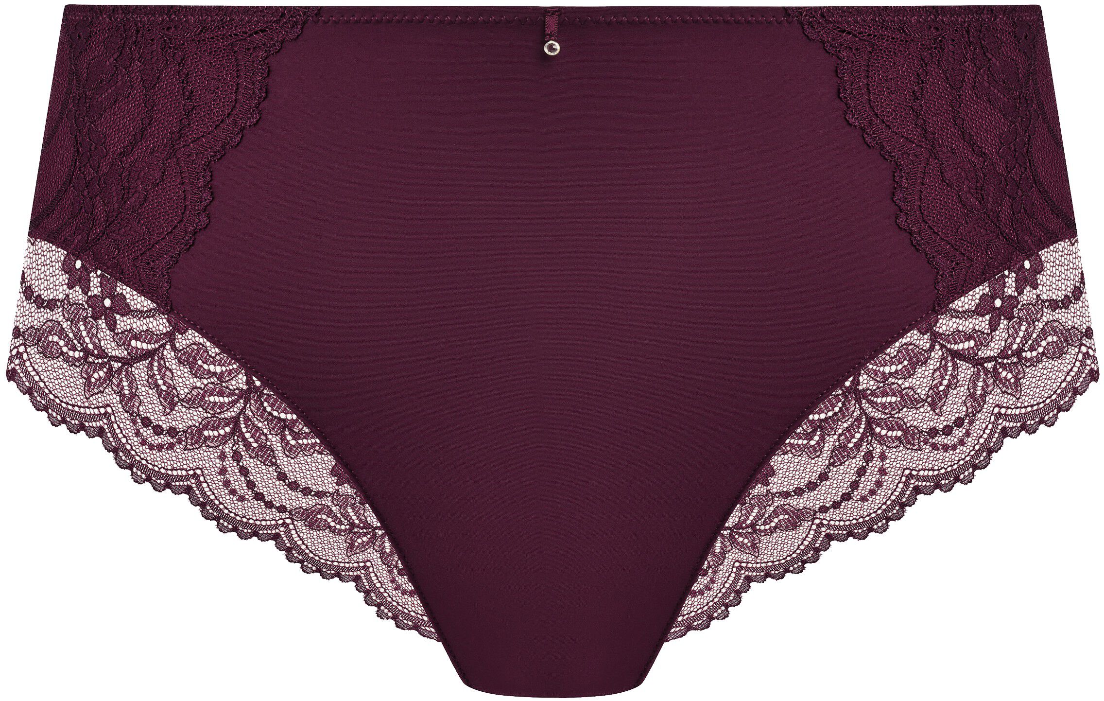 CESILE FULL BRIEF