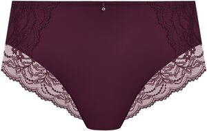 CESILE FULL BRIEF