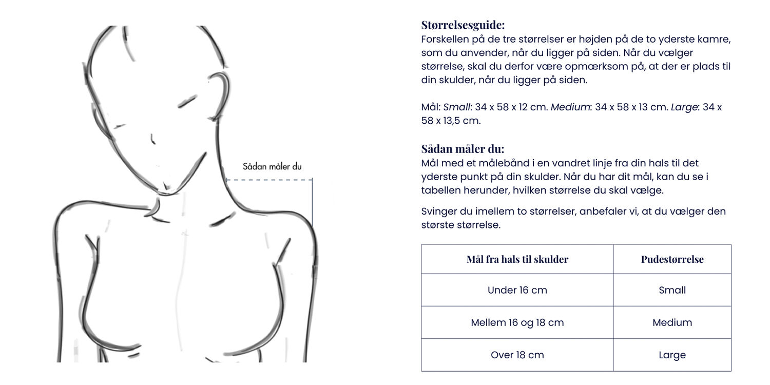 Fossflakes Chiropractic inkl. cover