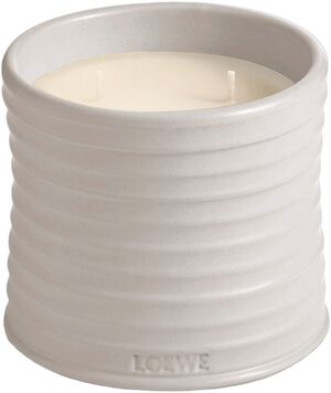 LOEWE Medium Oregano Candle