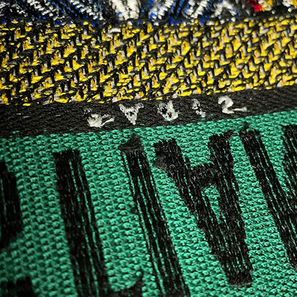 Dior Book Tote