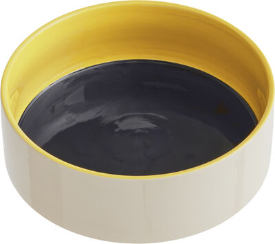 HAY Dogs Bowl-Large-Blue, yellow
