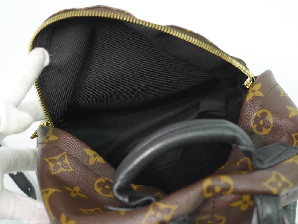 Louis Vuitton Palm Springs