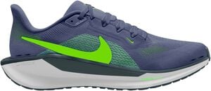 Pegasus 41 L&oslash;besko