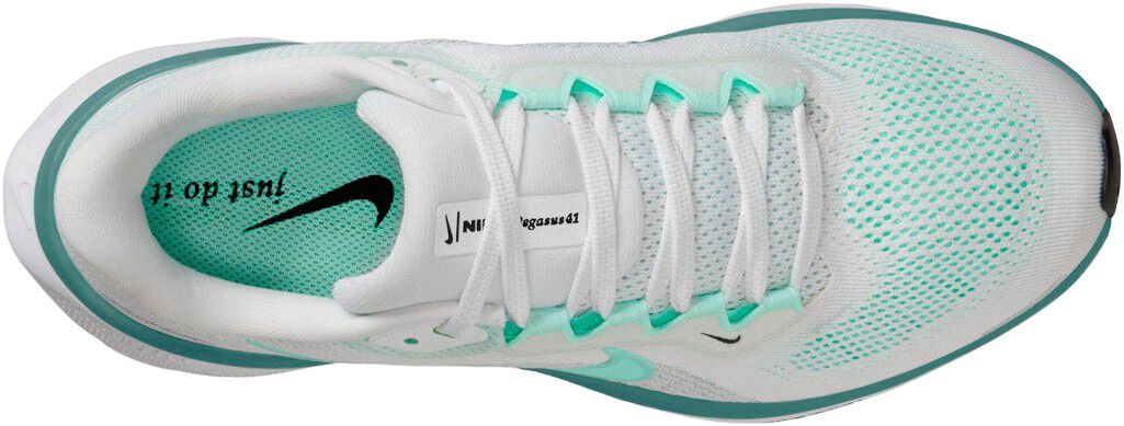 Pegasus 41 L&oslash;besko