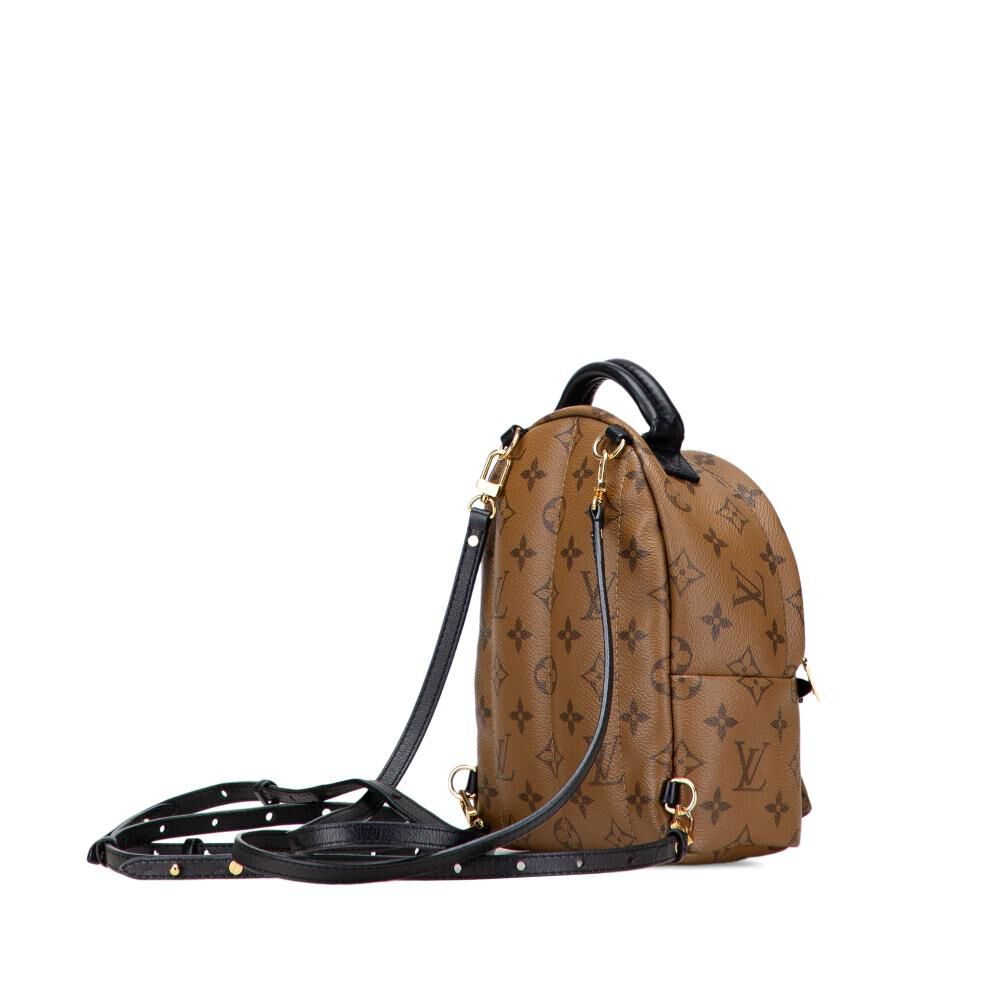 Louis Vuitton Palm Springs