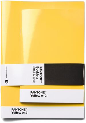 Pantone MA - BOOKLETS SET OF 2 DOTTED - YELLOW