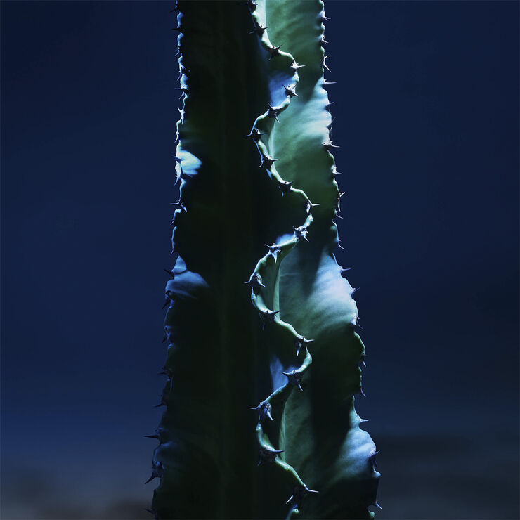 Sauvage The Cleanser Face Cleanser