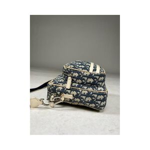 Dior Shoulder Bag