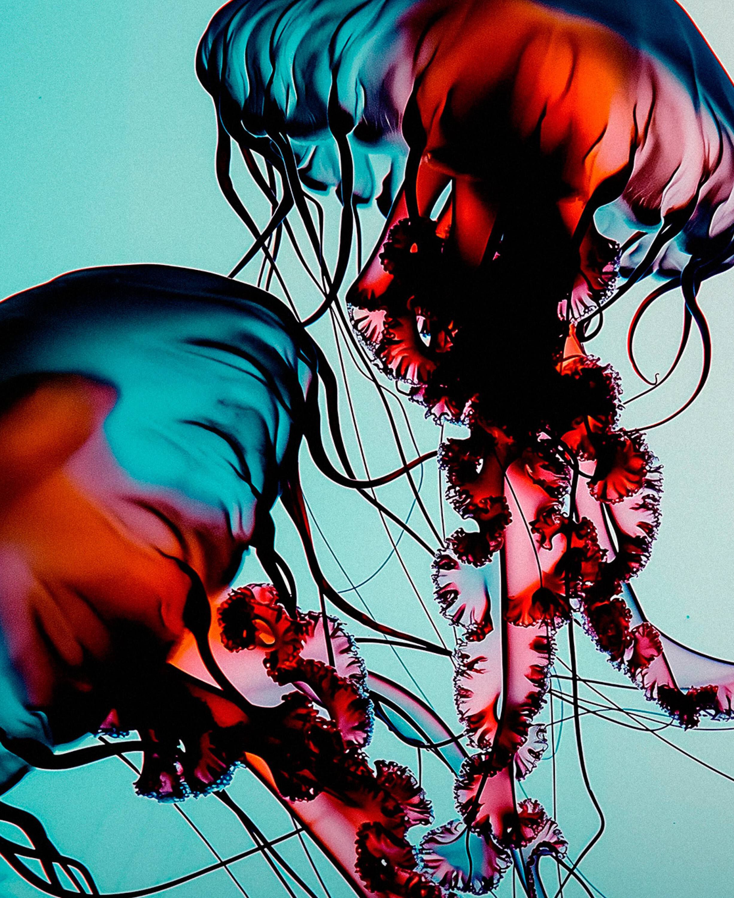 The Hydra Pads Daily hydrating exfoliation pads