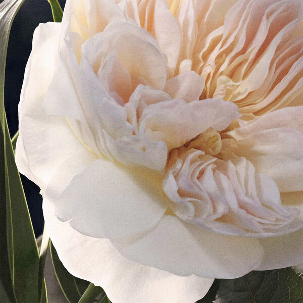 Chloé Deodorant Spray 100 ml.