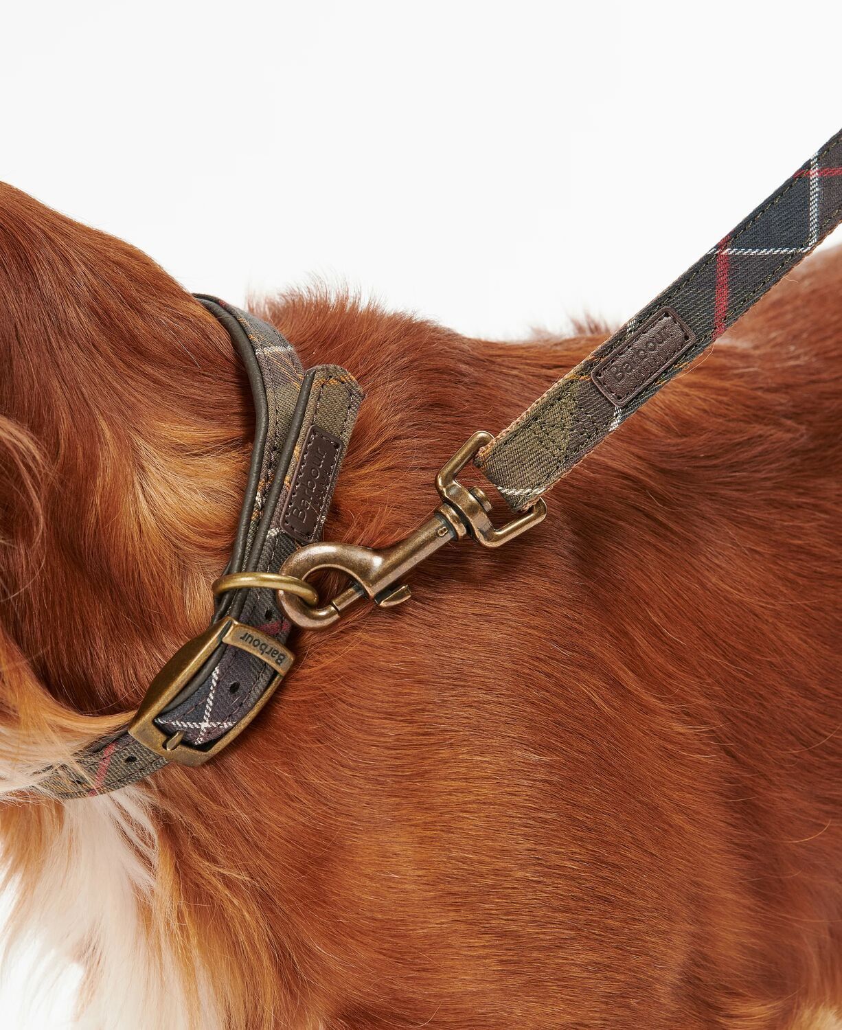 Barbour Tartan/Webbing Dog Lead