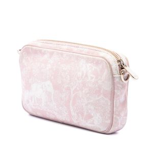 Dior Crossbody Bag