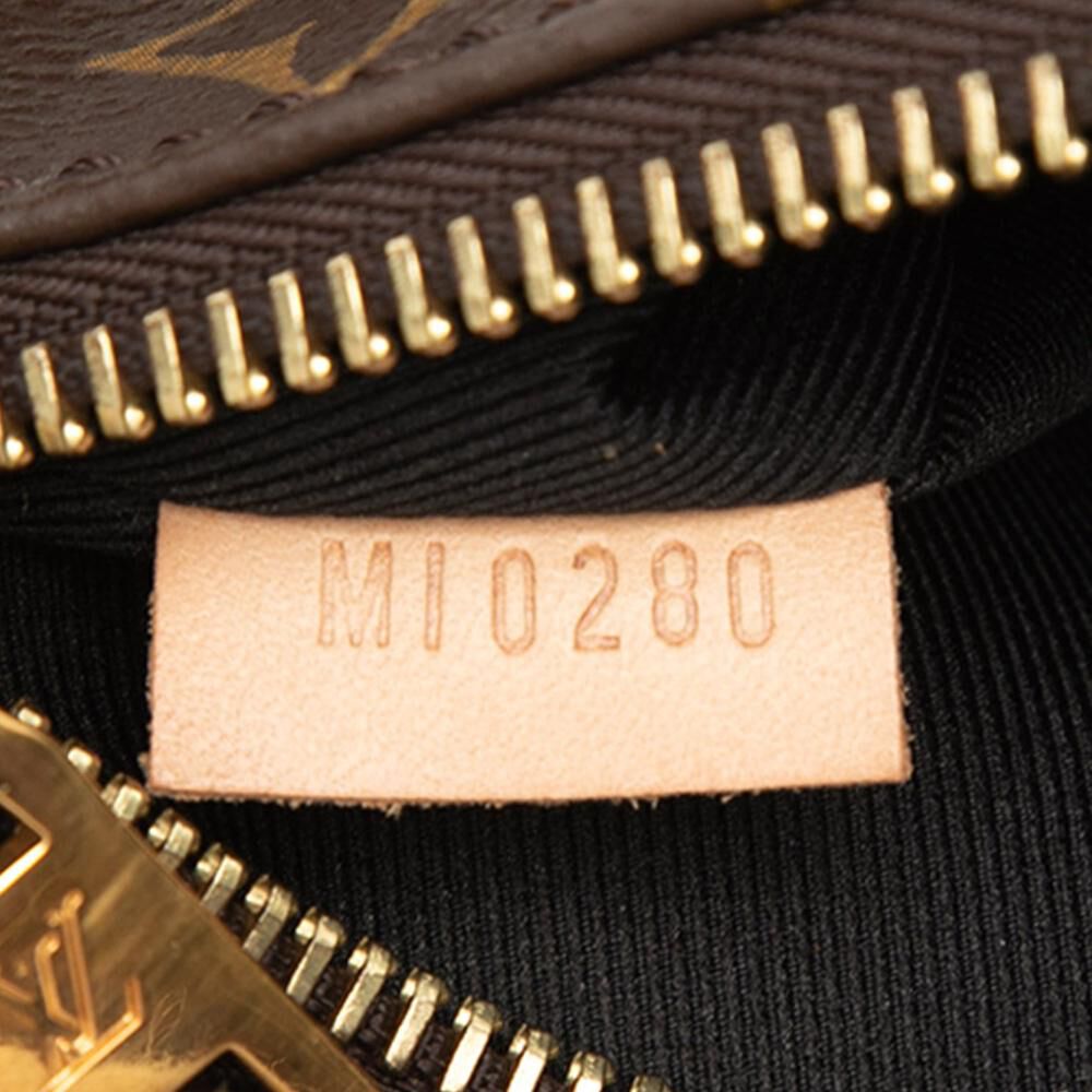 Louis Vuitton Belt Bags