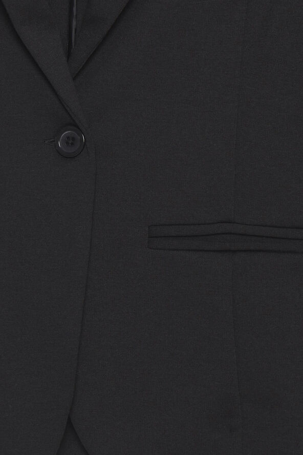 Zablazer 2 blazer