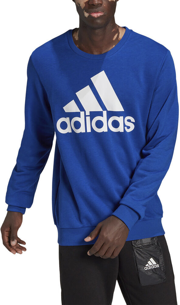 Essentials Big Logo sweatshirt